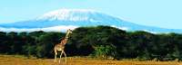 Tansania - Kilimandscharo Besteigung Machame Route (Camping)